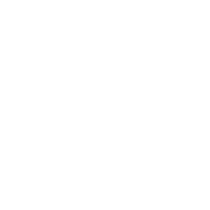 Vetmed website icon_best practice