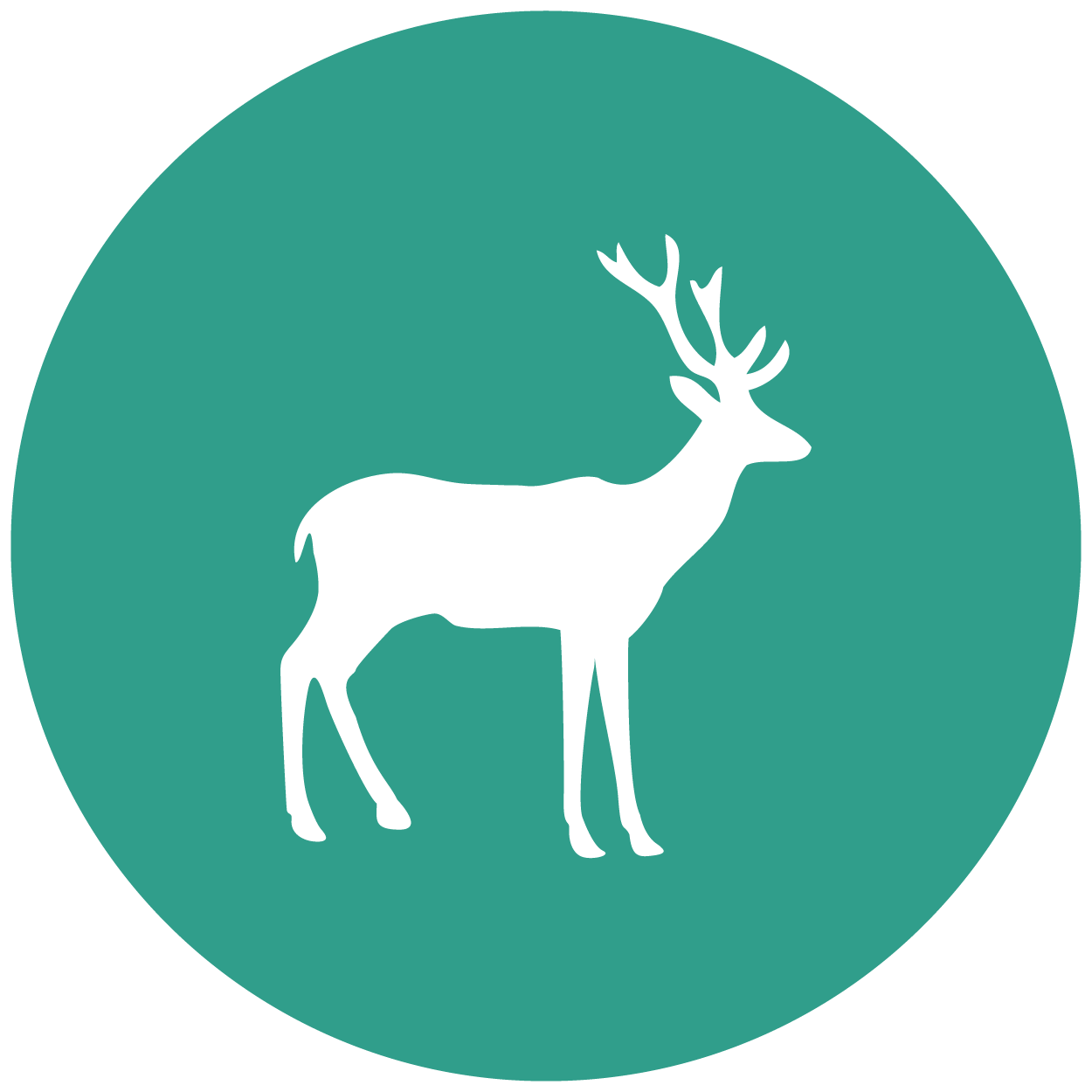 Vetmed website icons_deer