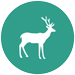 Vetmed-deer-icon-75